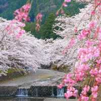 🌸京都小眾寶藏地 | 亀岡七谷川
