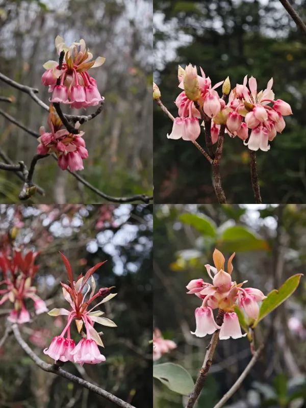 恩上濕地公園：期待與現實