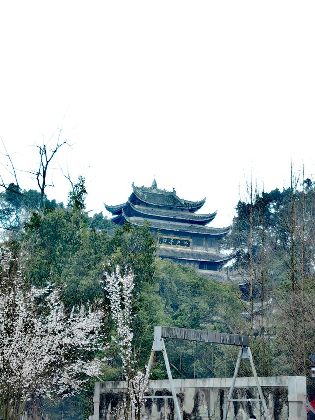 重慶周邊遊：潼南大佛寺