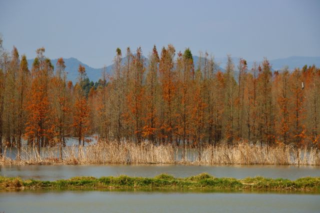 春天嘅滇池沿岸