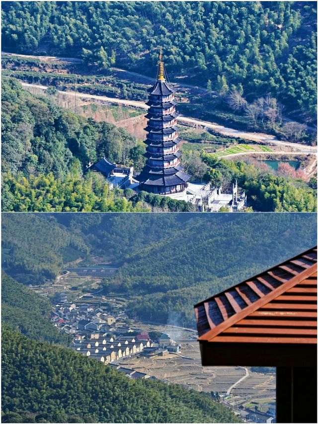 寧波四天受罪已回  說說真心大實話