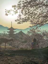 以為京都很美了，直到我去了廣島。。