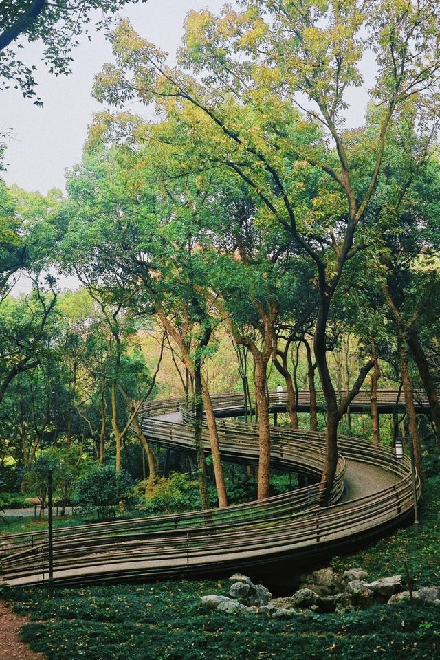 杭城頂流徒步路線！玉皇山鳳凰山一次刷完