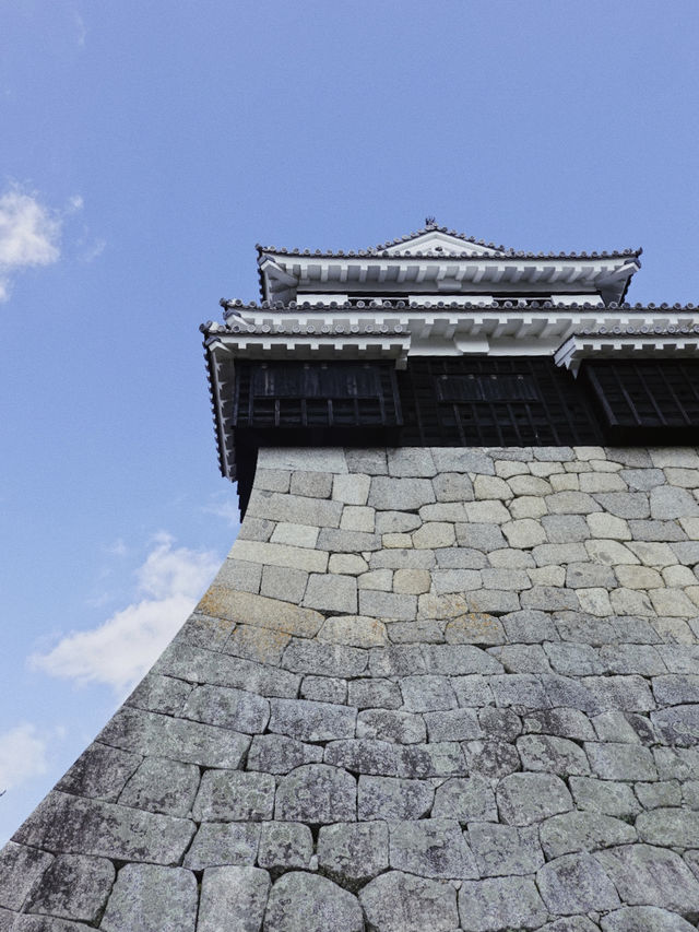 四國松山｜愛媛除了道後溫泉，還有松山城