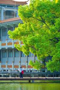 美哭！沒有哪個公園能比它更懂拿捏春和景明了