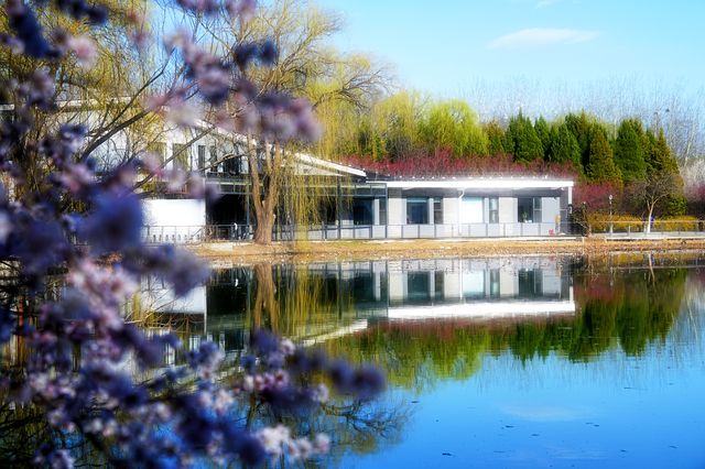 奧森桃花溝：灼灼桃花盛放，春光無限