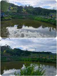 探索佳木斯濱湖山莊，飽覽美景，盡享美食！