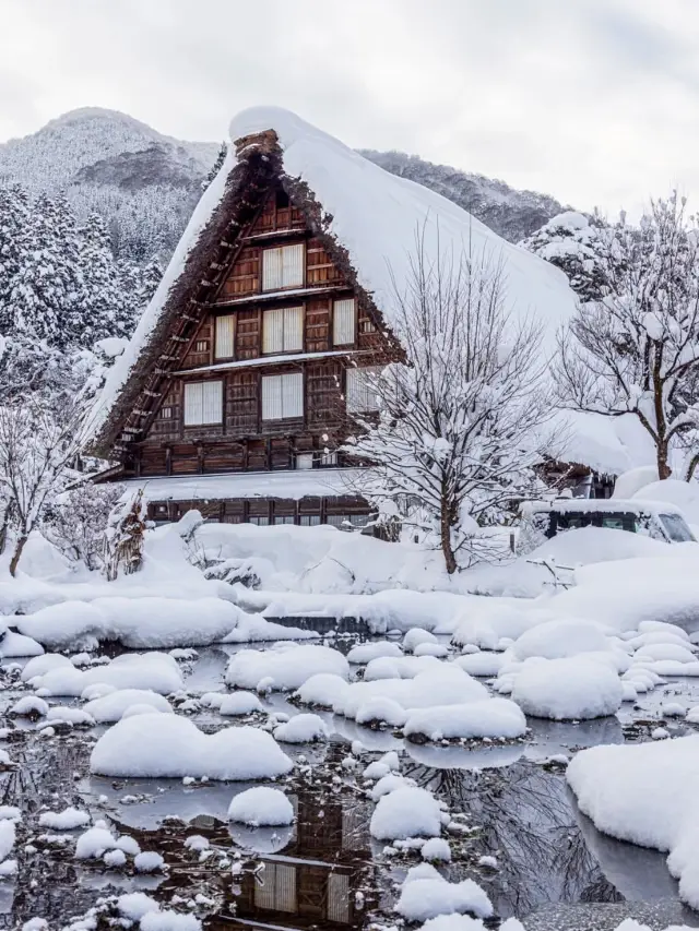 일본 4일 여행, 초상세 공략법 필독!