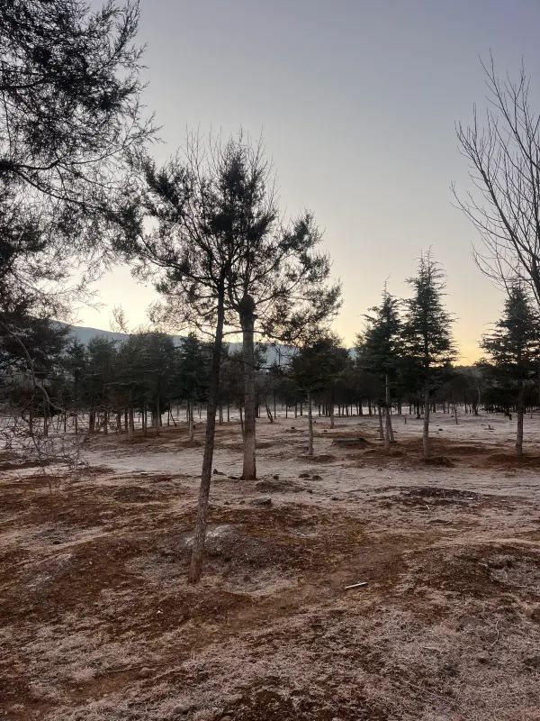 玉龍雪山一日遊超詳細旅遊攻略來啰 玉龍雪山一日遊超詳細旅遊攻略來啰
