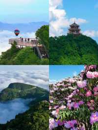 龍頭山雲端漫步｜被這處天然氧吧仙境種草了