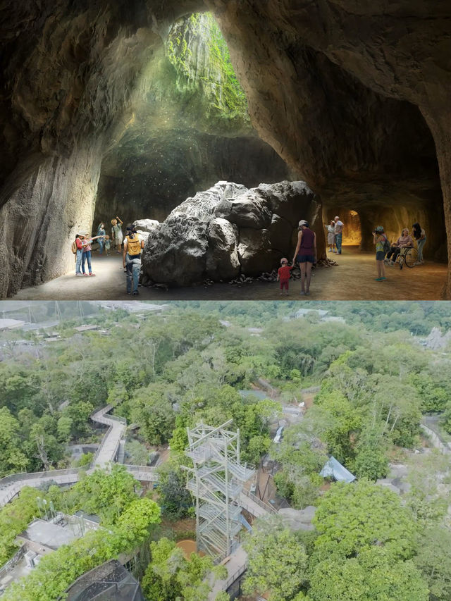 Singapore's Rainforest Wild Asia Adventure Park Opens March
