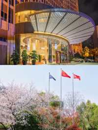南京華泰萬麗酒店，住得滿意的酒店