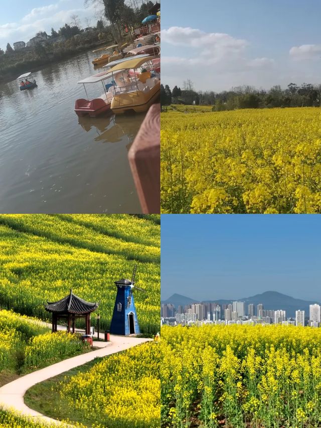 偷偷告訴你 | 春日賞花一定要去