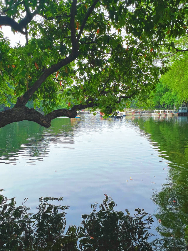 東山湖公園嘅中式美學