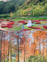 突然走進了莫奈的花園，這裡真的太美了
