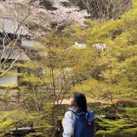 逃離大阪市區喧囂，奔赴箕面北公園吸氧啦🌿
