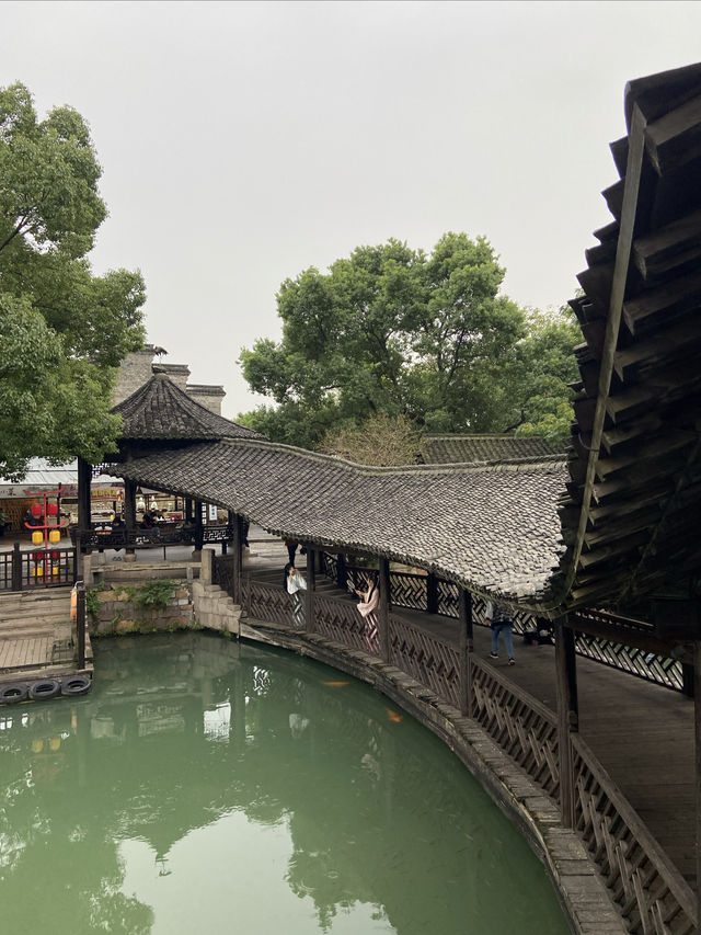 烏鎮終極攻略：枕水江南，解鎖最全玩法！