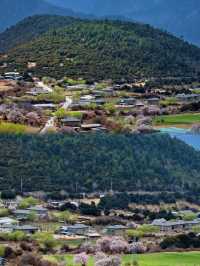 在西藏林芝，我找到了「三生三世」的桃花源！