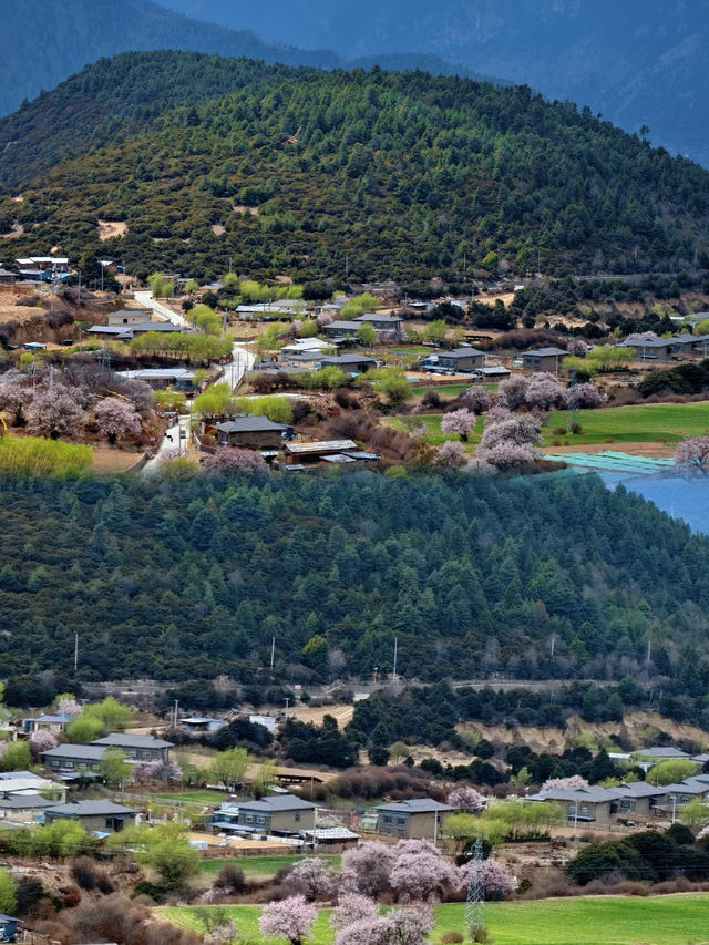 在西藏林芝，我找到了「三生三世」的桃花源！