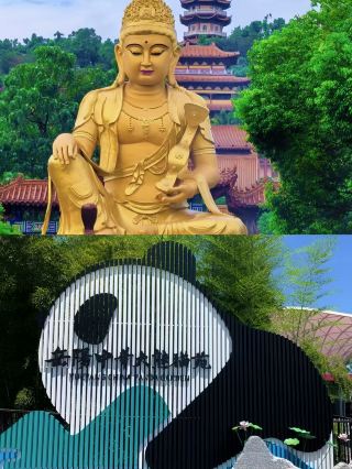 웨양 여행, 이 루트를 바로 복사하세요.