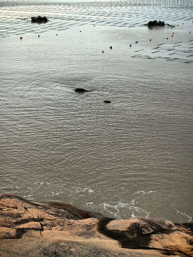 福建小眾旅行地！霞浦必玩景點盤點！