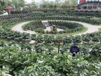 【北京世園會】打卡全球園藝盛宴！解鎖夢幻植物館