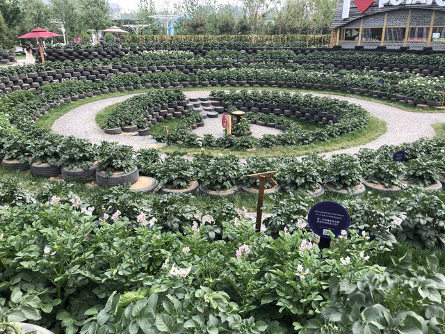 【北京世園會】打卡全球園藝盛宴！解鎖夢幻植物館