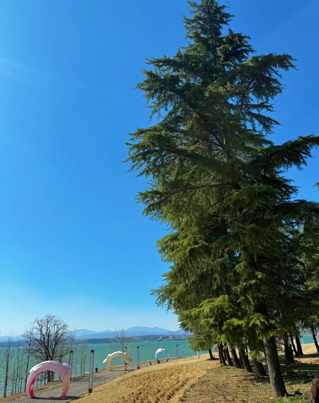 海防渾水庫被譽為"洛陽南湖"和"中原洱海"