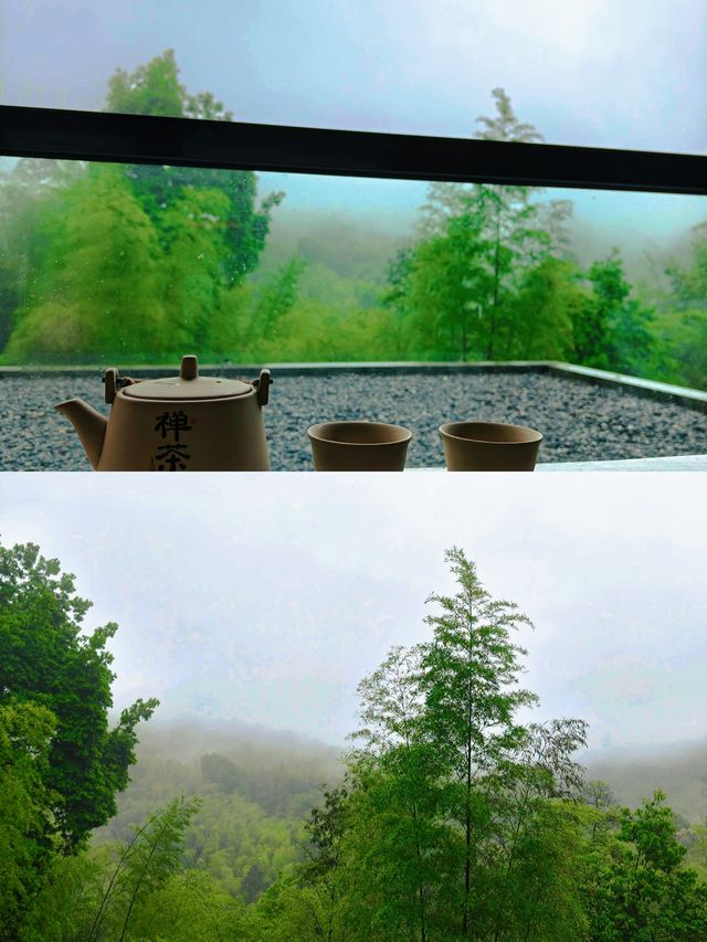 真係唔喺江浙滬度㗎，呢度係宜賓竹海