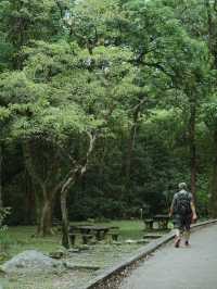  《城門水塘漫遊全攻略：新手必訪的山湖秘境》