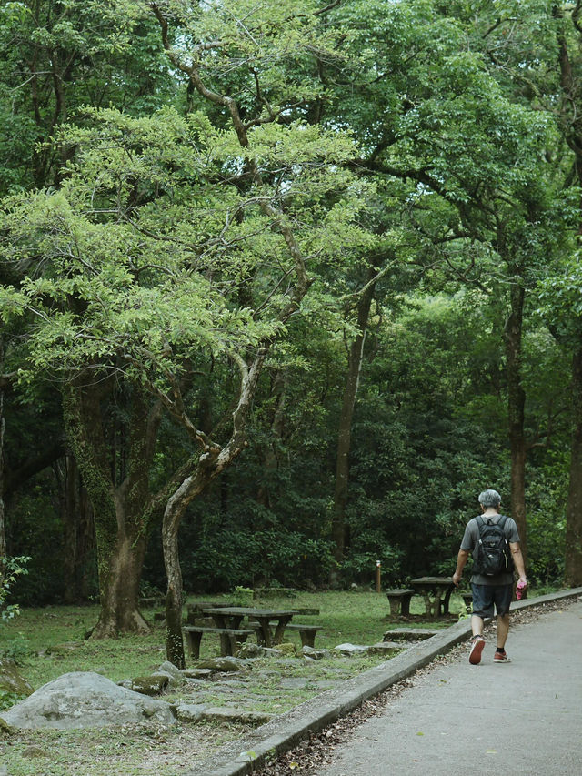  《城門水塘漫遊全攻略：新手必訪的山湖秘境》