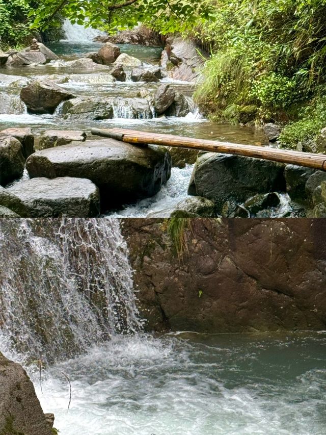 四合院民宿！大奇山森林公園，最能吸氧！