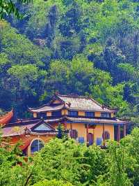 天門山：城市裡的「森」呼吸