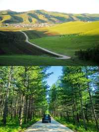 北京周邊3小時直達雲中草原，開啟夏日新玩法