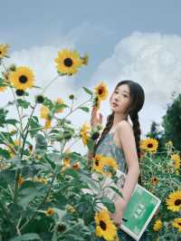 救命！在深圳撞進了向日葵的盛夏時光🌻每一幀都像被陽光吻過的浪漫畫報！