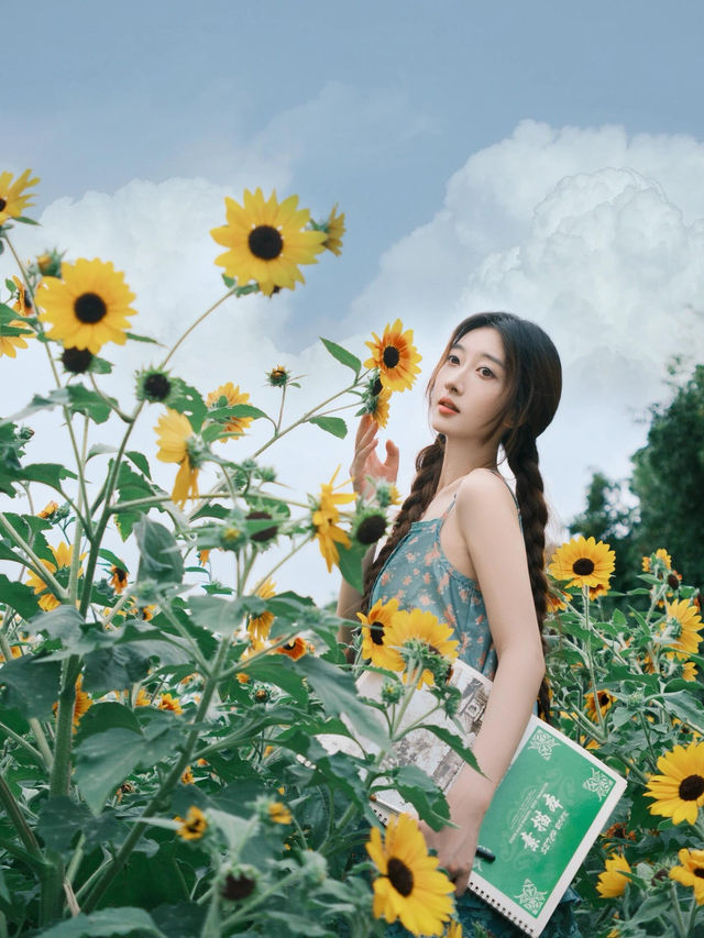 救命！在深圳撞進了向日葵的盛夏時光🌻每一幀都像被陽光吻過的浪漫畫報！