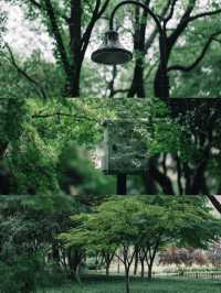 喺杭州，落雨天隨手一影就通往《言葉之庭》