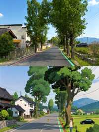 喺碧山，遇見現實版「吉卜力」秘境