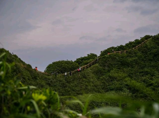 เที่ยวไต้หวัน เดินเทรล ที่ Bitoujiao
