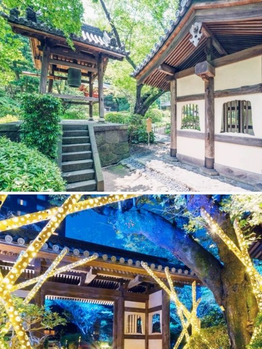 高輪花香路酒店體驗，東京之旅的溫馨之選
