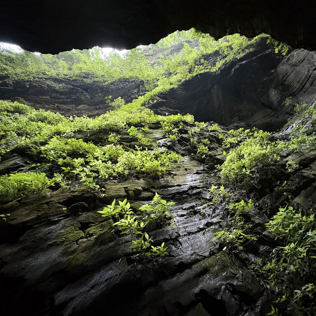 Wulong Leisure Pick: Longshui Gorge Fissure