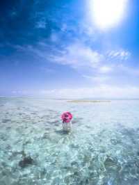 炎炎夏日沖繩必去！7個果凍海攻略