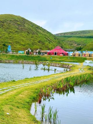 Step into the Fairy Tale Grassland of Hayao Miyazaki! A 1314m-high Cloud Paradise