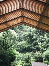 梅雨季神仙操作！寧海安嵐直接將屋企搬入雲霧裏