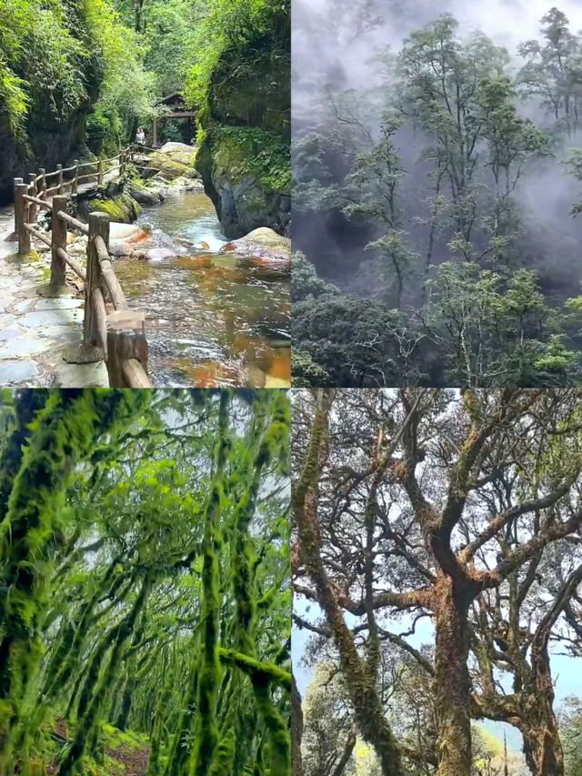 新平嘎灑：花腰傣鄉