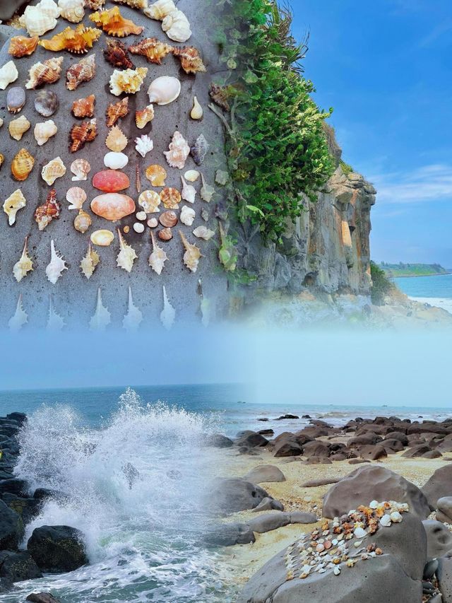 湛江7月反向旅遊，真係好正