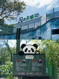 梅雨季同暑假都啱玩嘅溫州大熊貓館親子遊攻略