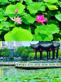 南昌，一座被「瓦罐湯」香醒嘅英雄城！