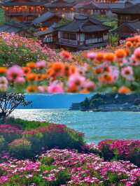 -《大理影相聖地大公開，輕鬆拍出網紅大片》