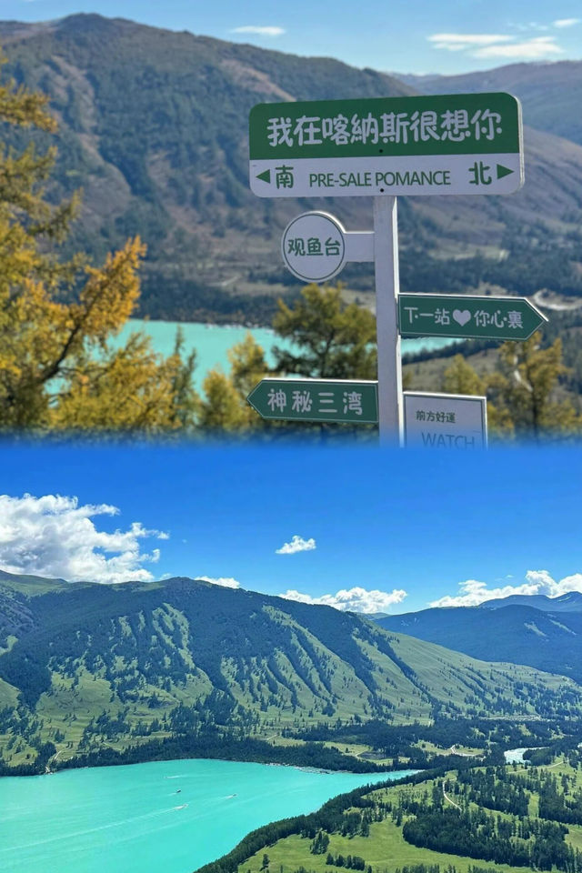 如果人生只能去一個地方，那一定是喀納斯